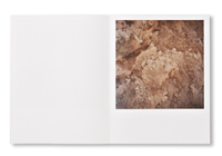 Anne Schwalbe: Vulkan Oder Stein(サイン本)