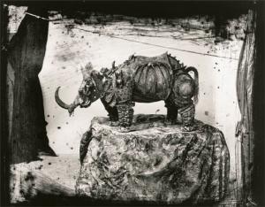 Joel-Peter Witkin