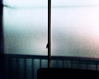 今井智己： 光と重力