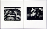 Anders Petersen: Close Distance
