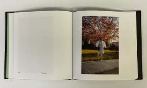 William Eggleston's Guide 大型ハードカバー Amazon | William Eggleston's Guide | Eggleston, William