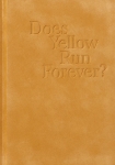 Paul Graham: Does Yellow Run Forever?