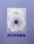 Ron van Dongen:Aurora