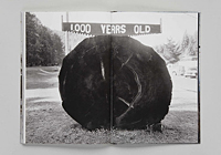 Taiyo Onorato and Nico Krebs: The Great Unreal