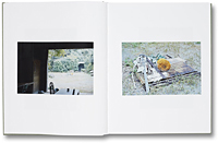 Anders Edstrom: Hanezawa Garden
