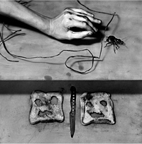 Roger Ballen: The House Project