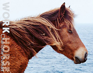 写真集　シャルロット　デュマ　Work Horse Charlotte Dumas: Work Horse