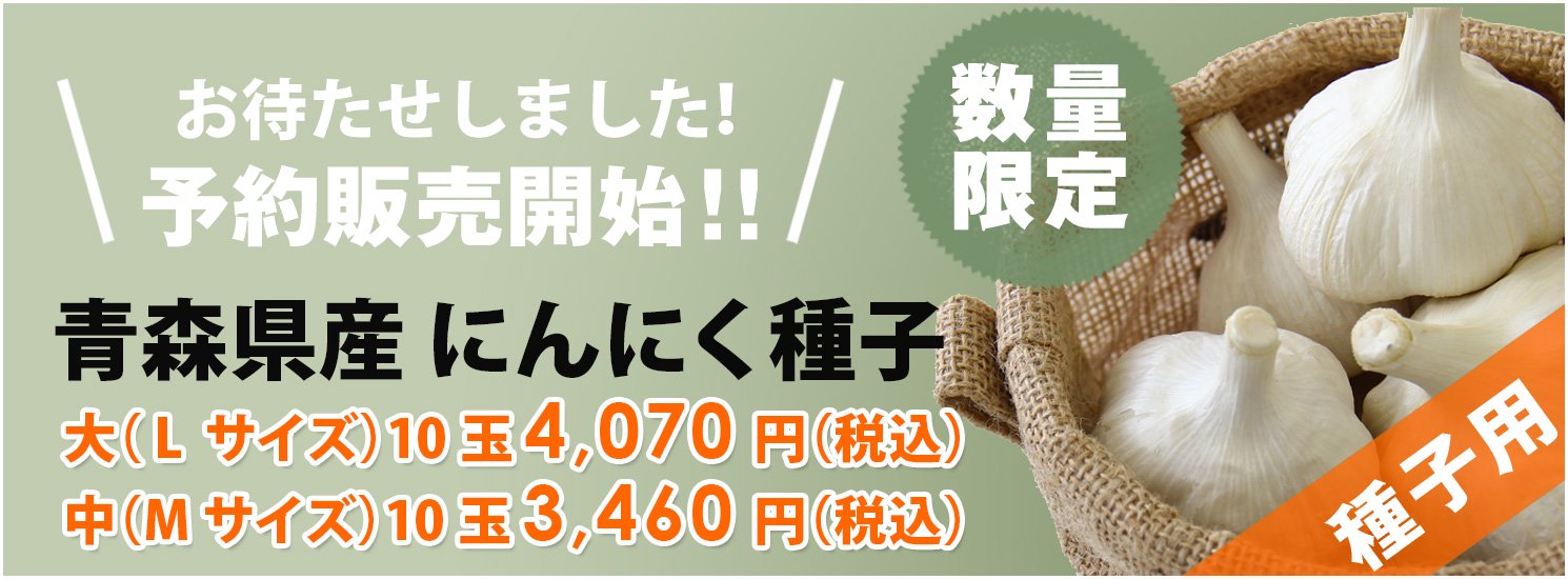 青森県 にんにく種子10Kg L 消毒済み 【食べれません】 - 野菜、果物