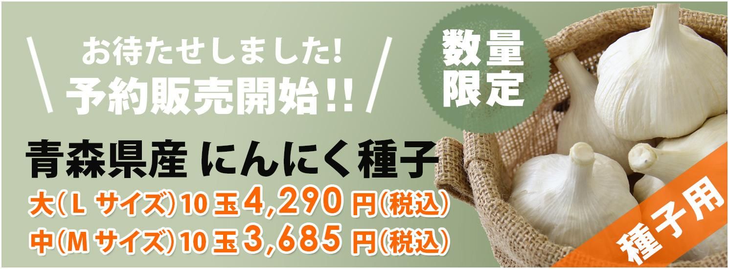 青森県にんにくタネ10Kg  大　消毒済み 楽天市場】【数量限定】青森種子にんにく 種球 国産 福地