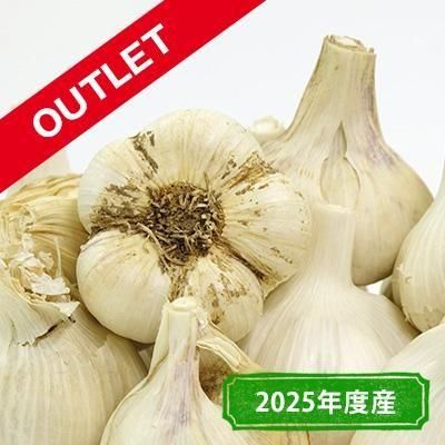 褷Ȥˤˤȥåȡ