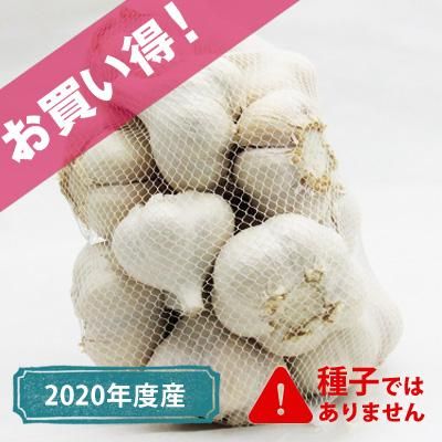 青森県産にんにく にんにくのよしだ家 青森にんにく種子の栽培 販売 通販 青森県産にんにく にんにくのよしだ家 青森にんにく種子の栽培 販売 通販