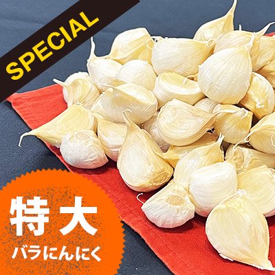 ニンニク青森県産バラニンニク10kgサイズSメイン - 野菜
