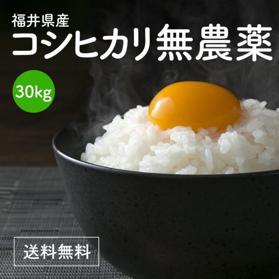 福井のおいしいお米　小嶋農産　無農薬ひらぶき米