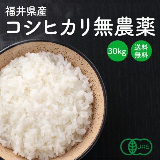 福井のおいしいお米 小嶋農産 無農薬ひらぶき米 JAS認定