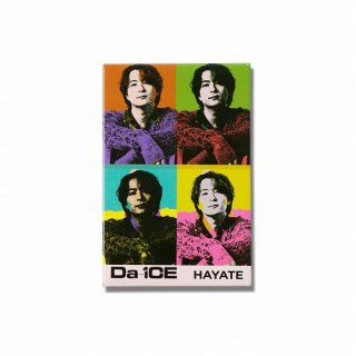 ޥͥåB HAYATEDa-iCE  Live House Tour 2024ۡŵоݾʡ