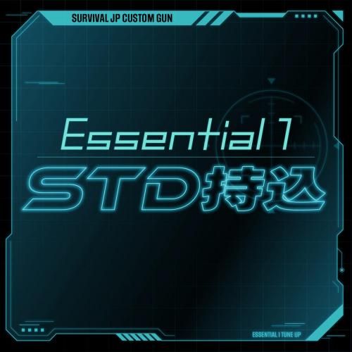  Essential1塼󡦿ʸ