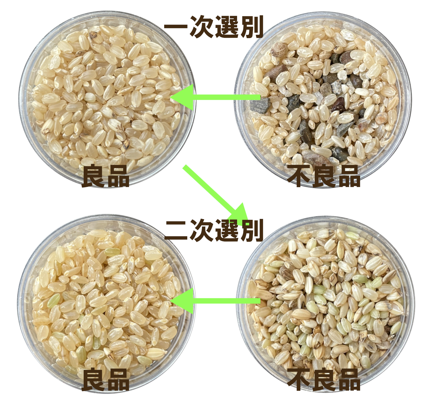 玄米選別1