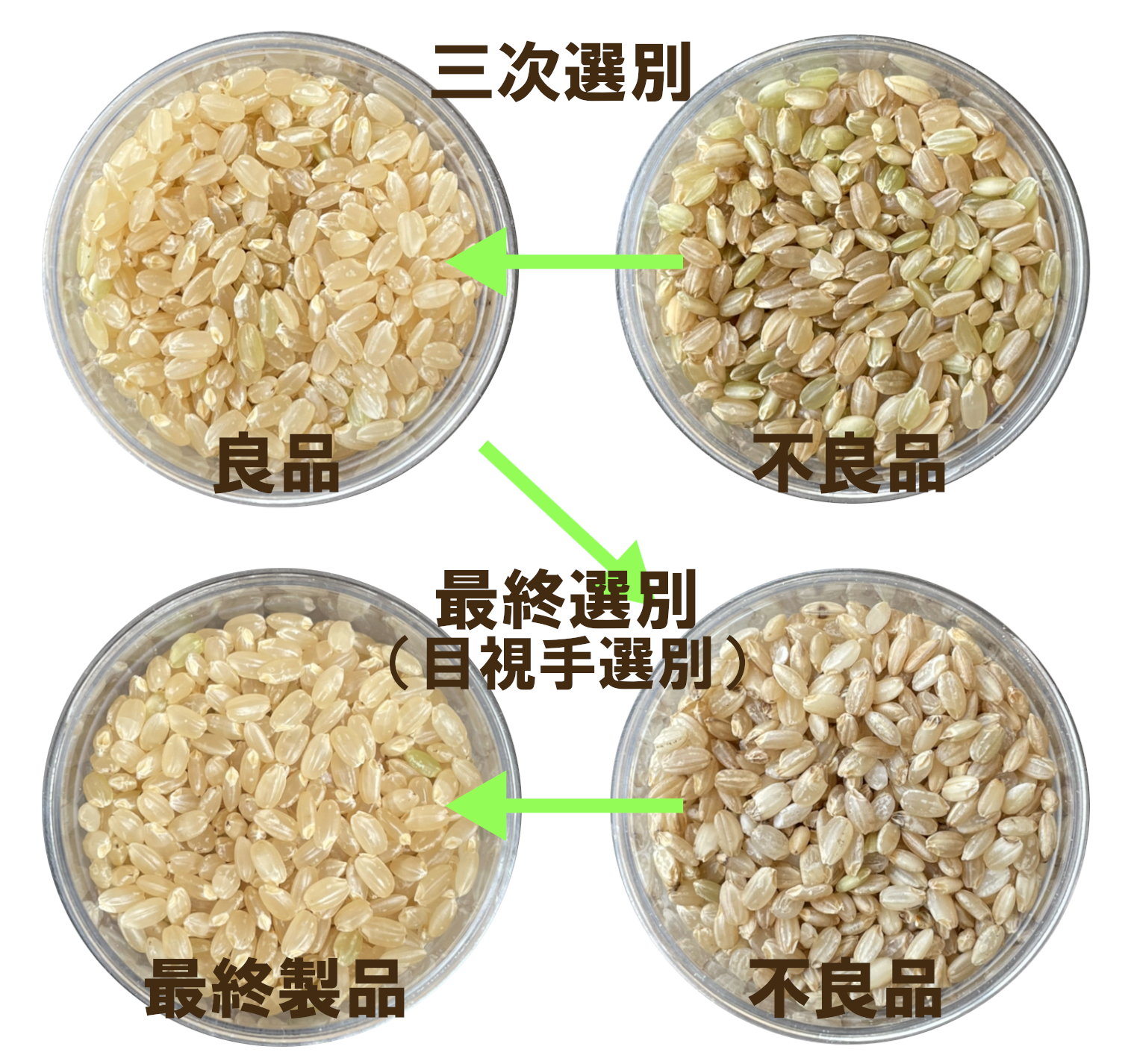 玄米選別2
