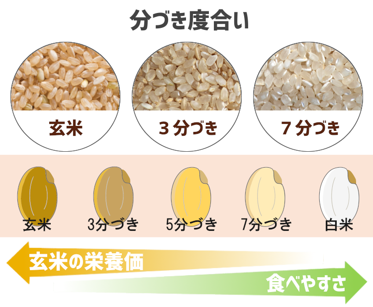 分づき米5kg　特別栽培米／新潟県産・ミルキークイーン　お米の通販・石川商店