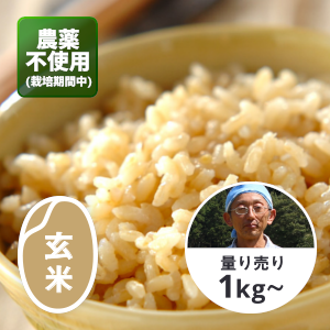 農薬不使用 | 千葉県産・自然農法の伊勢ひかり（イセヒカリ） | 玄米 