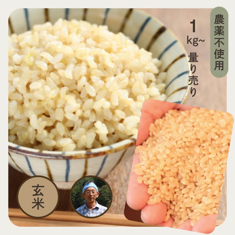 農薬不使用 | 千葉県産・アイガモ農法コシヒカリ | 玄米1kg | お米の