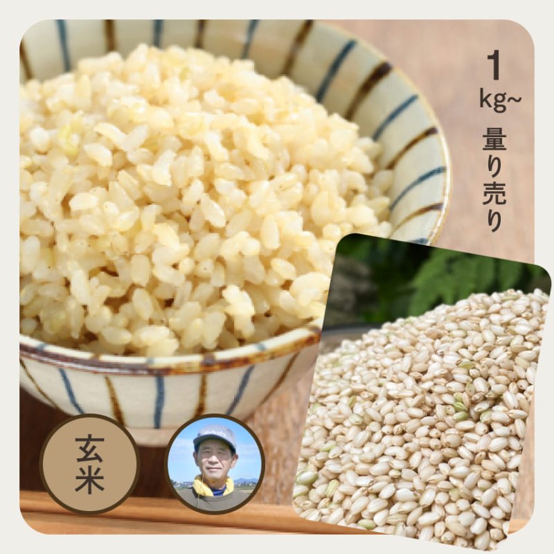 特別栽培米／最高級もち米 | 新潟県産・こがねもち 玄米1kg | お米の 