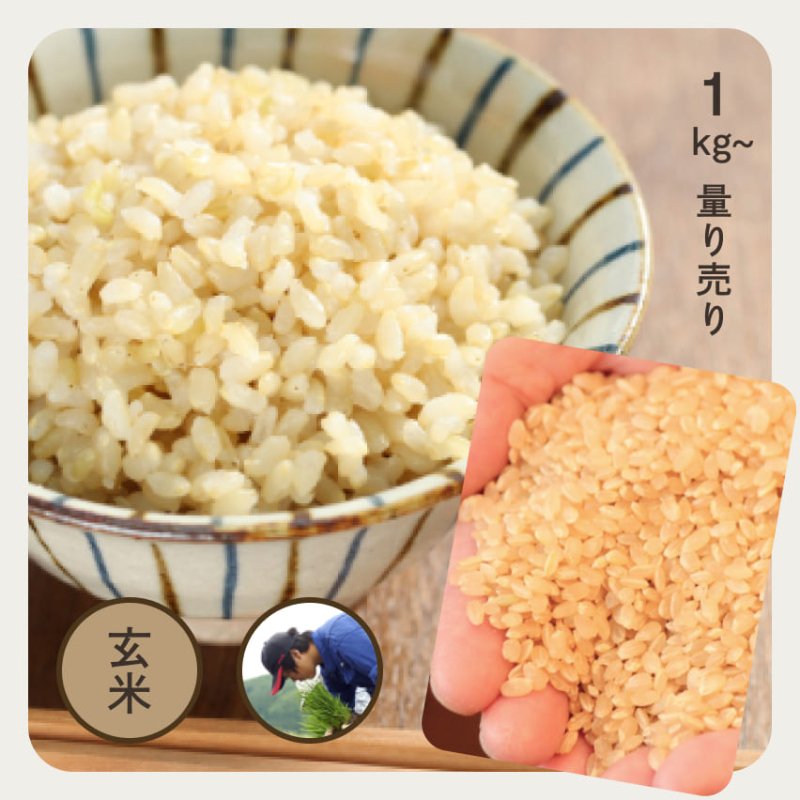 農薬不使用 | 千葉県産・アイガモ農法コシヒカリ | 玄米1kg | お米の