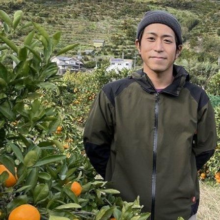 楽天市場】愛媛産 せとか Lサイズ 15個入り 化粧箱 ○店長