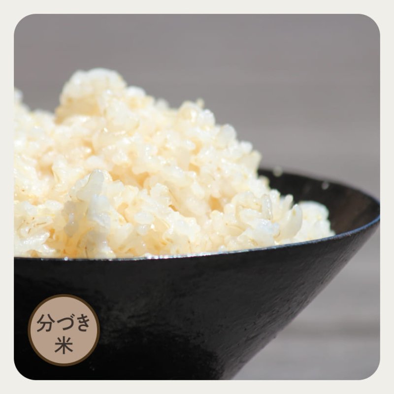令和５年 新米 千葉県産「粒すけ」２４ ５Kg 体に優しい減農薬のお米