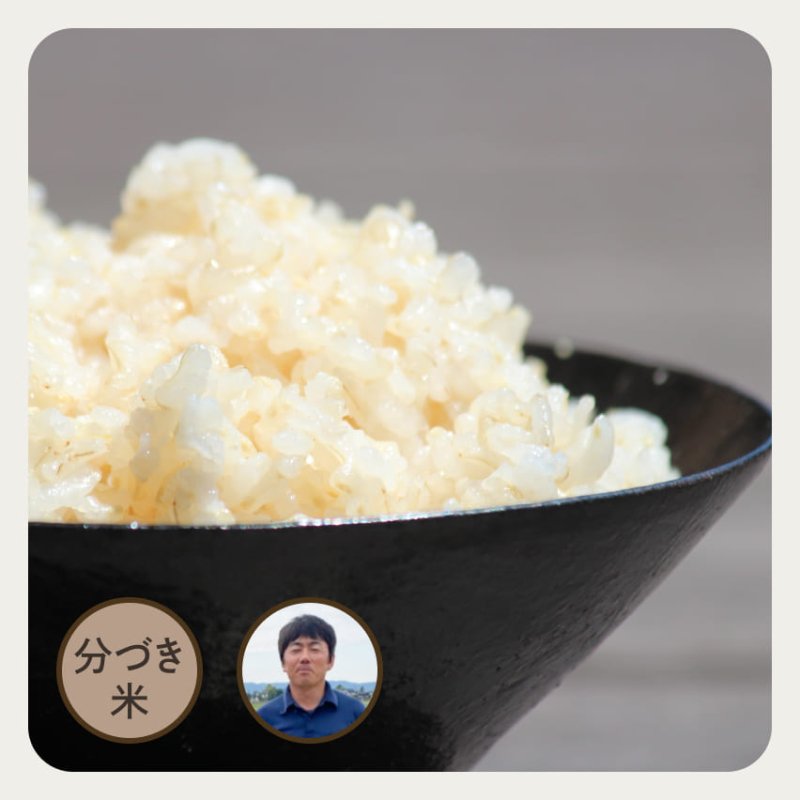特別栽培米／新潟県産・ミルキークイーン | 分づき米5kg | お米の