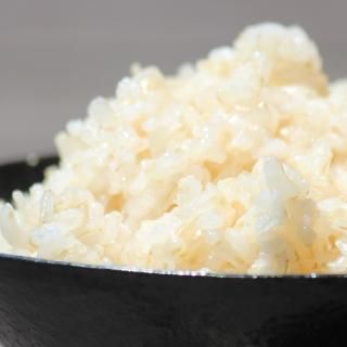 山形 つや姫 分づき米 5kg(減農薬 特別栽培) - お米・雑穀の 山形 つや姫 分づき米 5kg(減農薬 特別栽培) - お米・雑穀の
