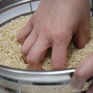 楽天市場】無農薬 分つき米 玄米 無化学肥料米 米10kg (5kg×2