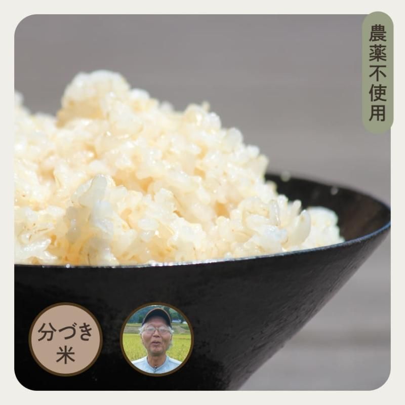 みーちゃ 新米 無農薬コシヒカリ玄米10kg、5分づき5kg 令和4年産 楽天市場】無農薬 分つき米 玄米 無化学肥料米 米10kg (5kg×2