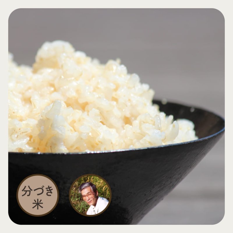 特別栽培米／山形県産・最上のコシヒカリ | 分づき米5kg | お米の ...