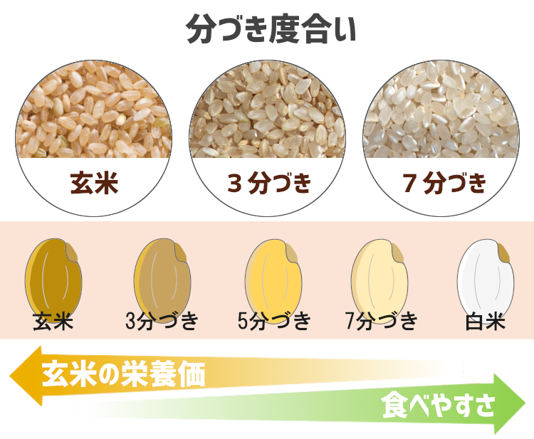 山形 最上のあきたこまち 分づき米 5kg(減農薬 特別栽培) - お 山形 最上のあきたこまち 分づき米 5kg(減農薬 特別栽培) - お