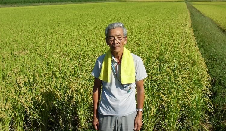 楽天市場】【送料無料】令和6年産 三重県産 農家直送米 5kg