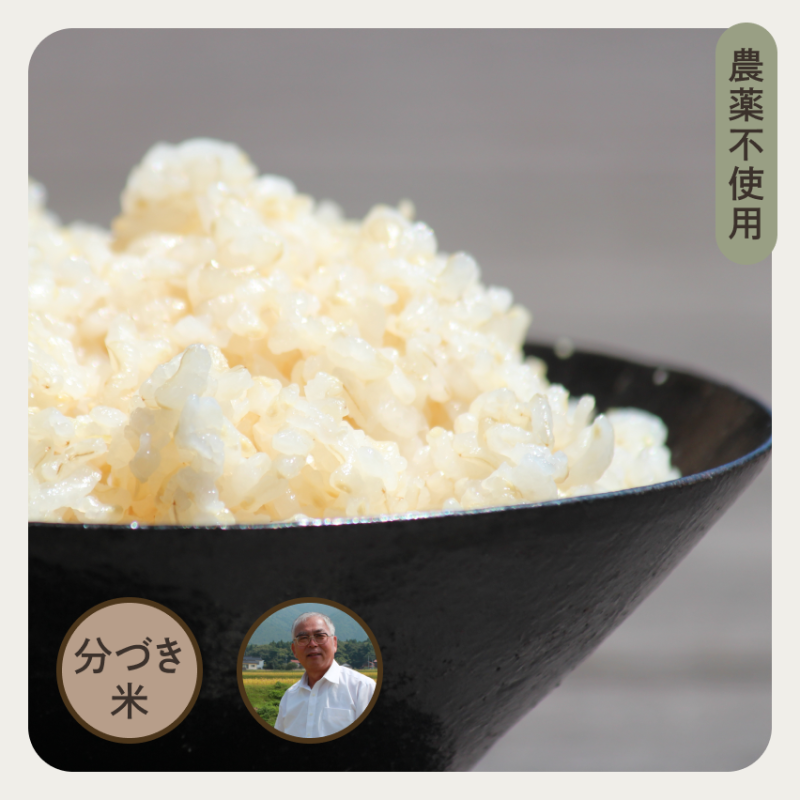 島根 自然農法の棚田コシヒカリ 玄米(無農薬 無化学肥料) - お 島根 自然農法の棚田コシヒカリ 玄米(無農薬 無化学肥料) - お