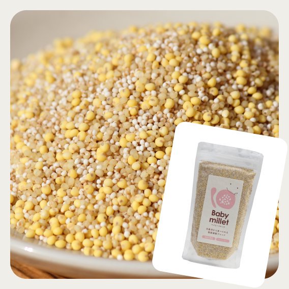 国産] Baby millet（ベイビーミレット） 300g - お米・雑穀の通販 石川商店