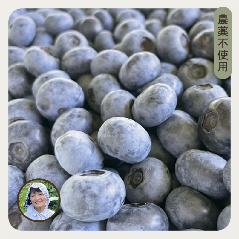 【予約受付中】【数量限定】千葉 ブルーベリー 500g（無農薬 無化学肥料・クール便）　※7月下旬～8月中旬発送予定