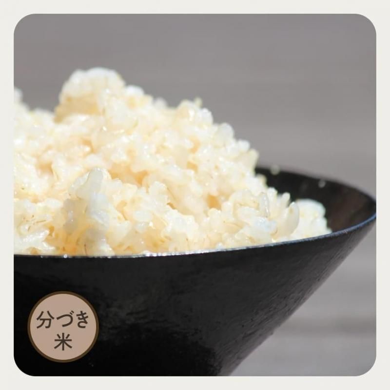 ★新米★[玄米]特別栽培米ミルキークイーン２４ｋｇ有機肥料減農薬栽培 新米】（玄米）宮崎県跡江産ミルキークイーン5kg〈有機栽培