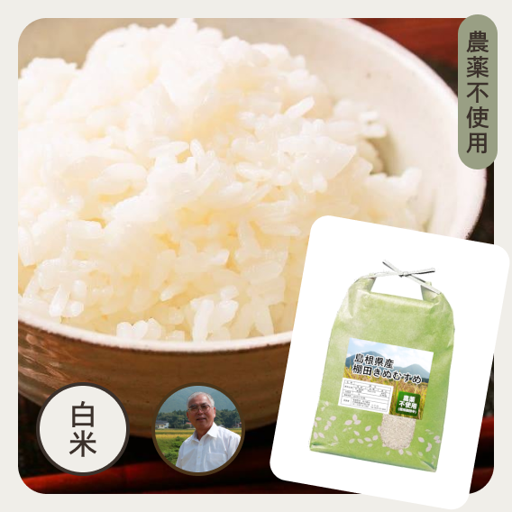 <img class='new_mark_img1' src='https://img.shop-pro.jp/img/new/icons14.gif' style='border:none;display:inline;margin:0px;padding:0px;width:auto;' />ڿơ纬 ˡêĤ̤ह̵ ̵