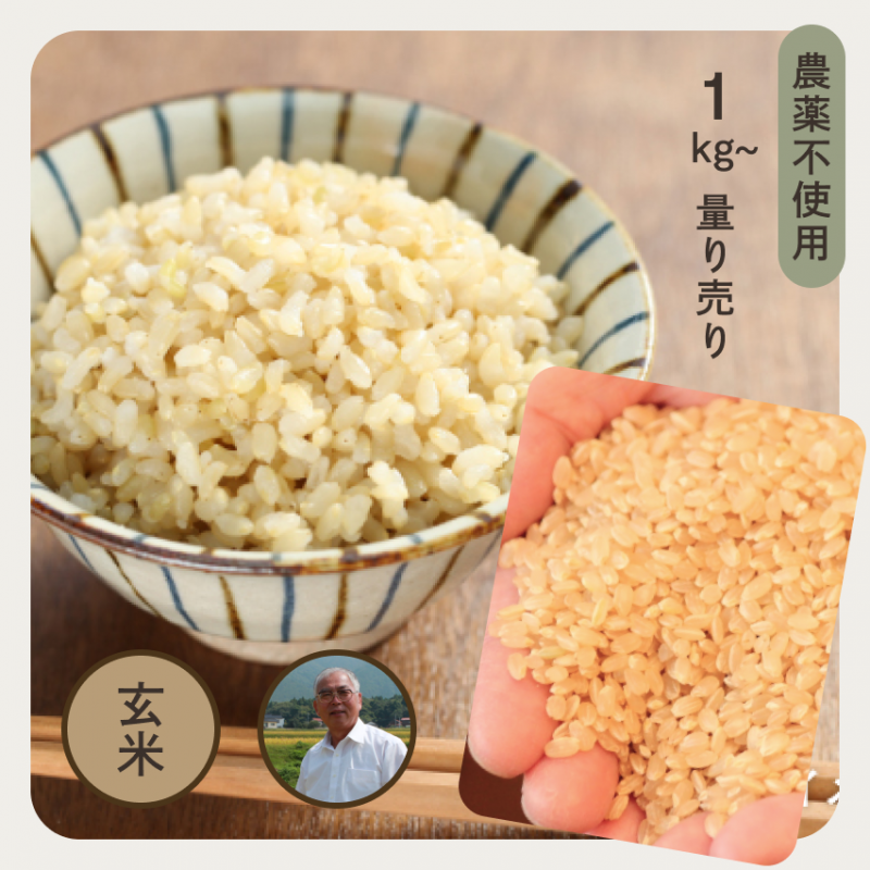 <img class='new_mark_img1' src='https://img.shop-pro.jp/img/new/icons14.gif' style='border:none;display:inline;margin:0px;padding:0px;width:auto;' />ڿơ纬 ˡêĤ̤ह ơ̵ ̵