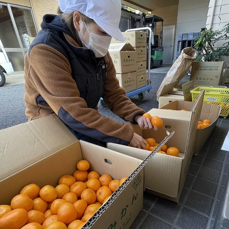 和歌山 有田みかん(早生) - お米・雑穀の通販 石川商店