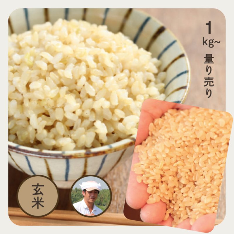 特別栽培米／最高級もち米 | 新潟県産・こがねもち 玄米1kg | お米の