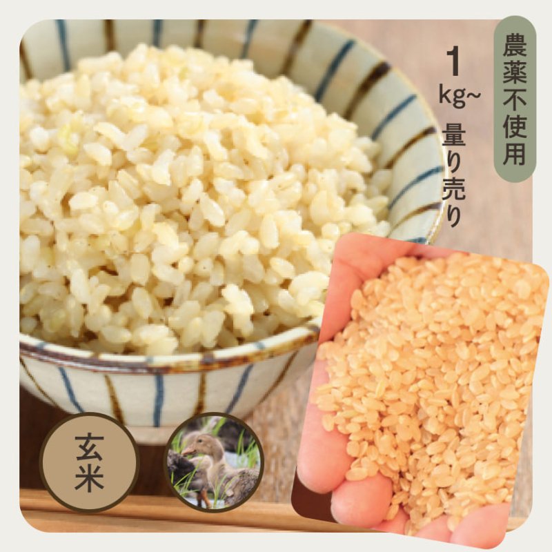 農薬不使用 | 千葉県産・自然農法の伊勢ひかり（イセヒカリ） | 玄米