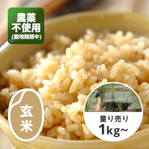 千葉 アイガモ農法コシヒカリ 玄米1kg（農薬不使用※2022年産予約受付中