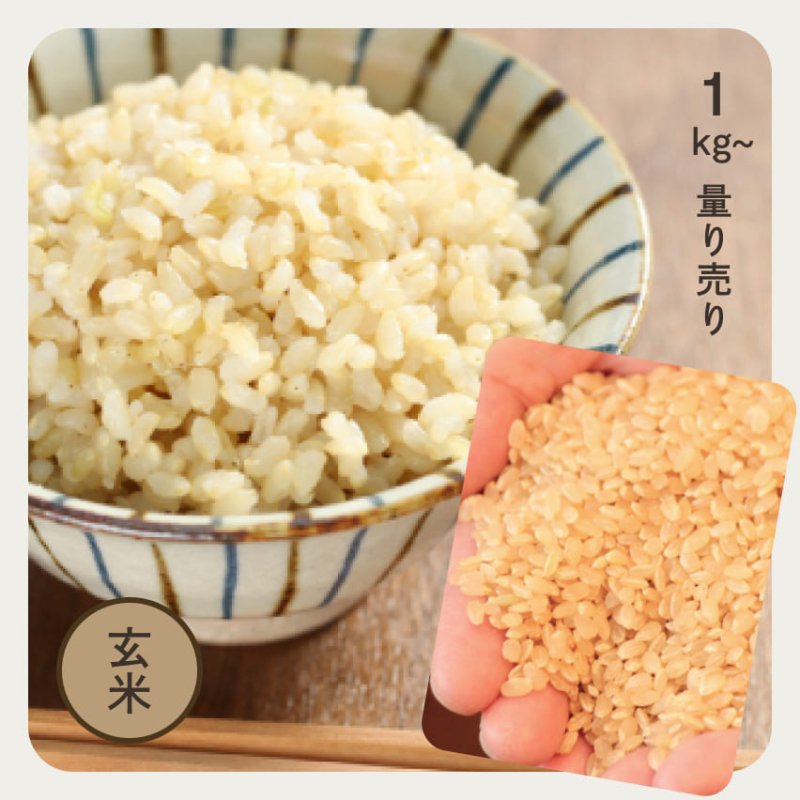 特別栽培米／秋田県産　お米の通販・石川商店　サキホコレ　玄米1kg