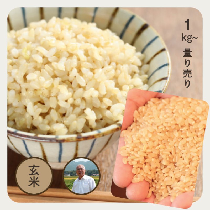 島根エコ／島根県産・世界遺産米コシヒカリ | 玄米1kg | お米の通販