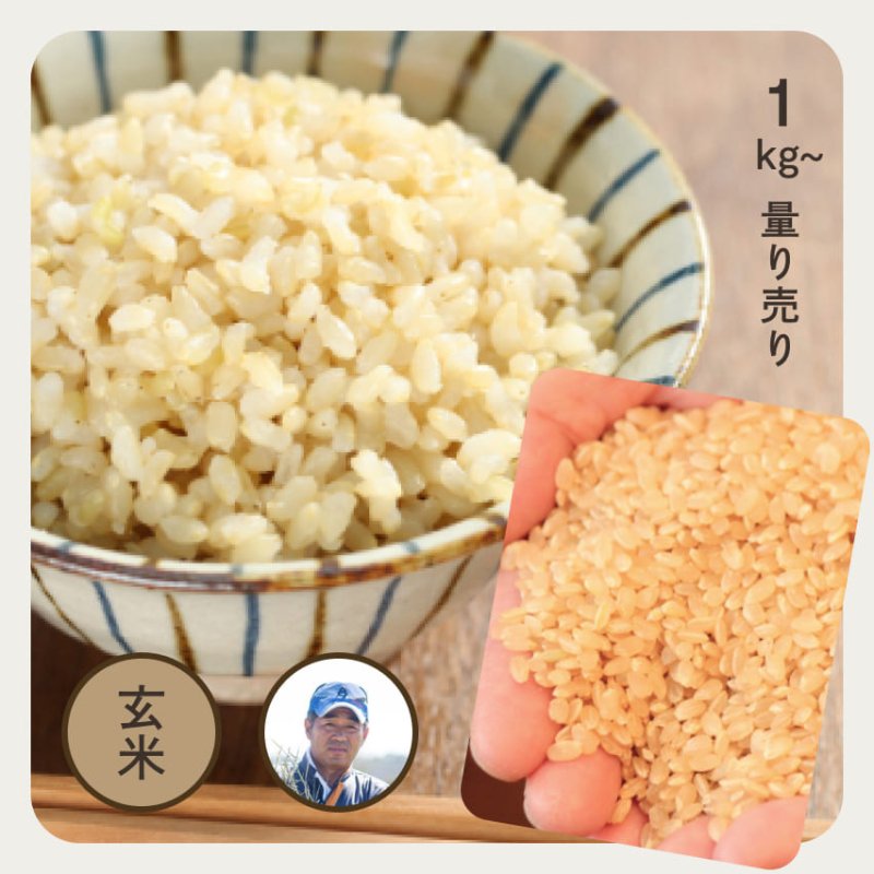 ☆新米☆[玄米]特別栽培米コシヒカリ２kg生産農家の直接販売 - 米