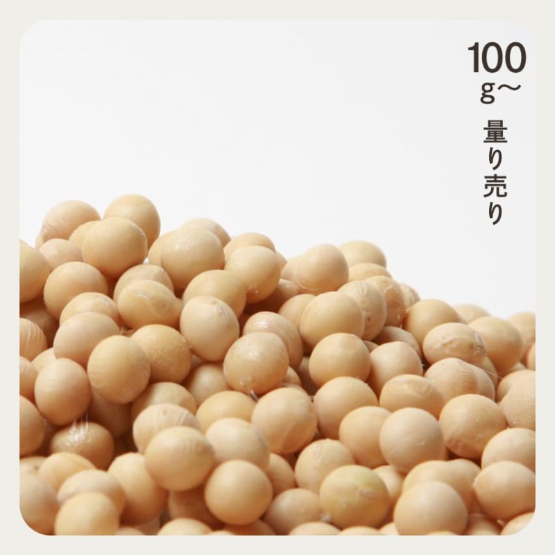 北海道 大豆 100g 